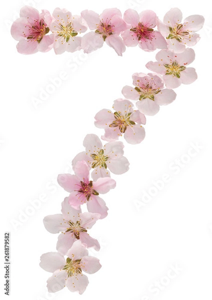 Fototapeta Numeral 7, seven, from natural pink flowers of peach tree, isolated on white background
