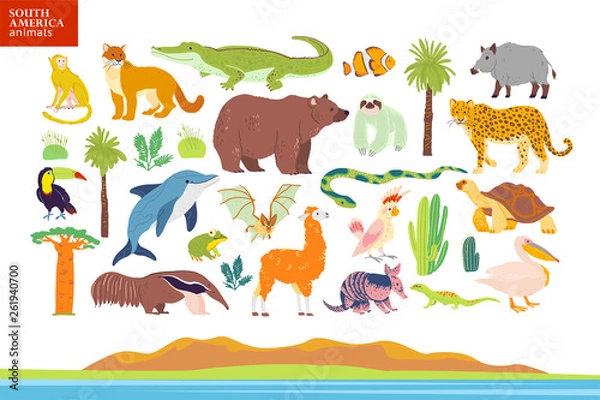 Fototapeta Vector flat illustration of South America animals, landscape, plants: crocodile, bear, anaconda, anteater, monkey, toucan palm tree, oak, cactus. Good for infographics, children book, alphabet, banner