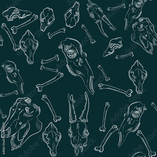 Fototapeta Realistic skulls of animals. Seamless Pattern