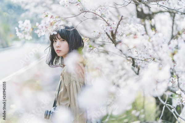 Fototapeta 桜とカメラ女子