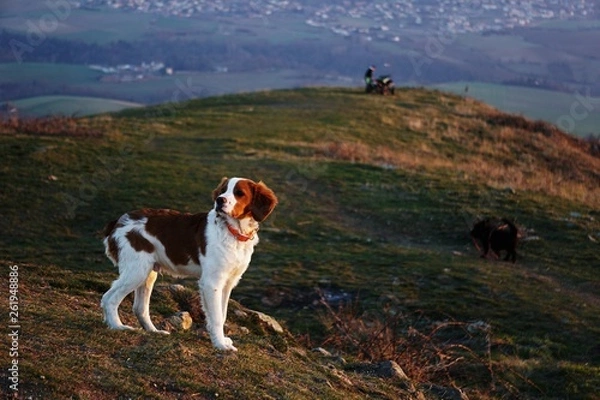 Obraz En bonne compagnie