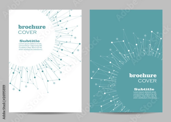 Obraz Brochure template layout design. Abstract geometric background with connected lines and dots