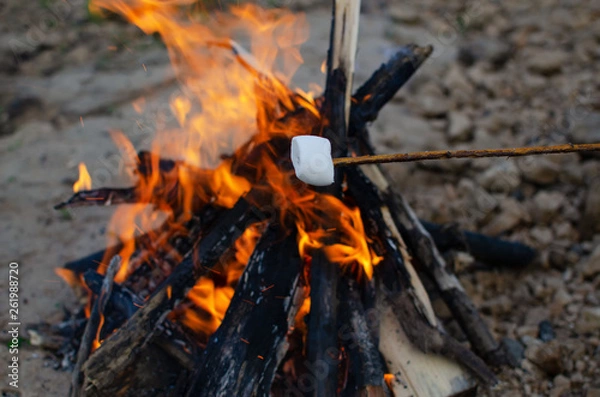Fototapeta marshmallow on a twig roasted on a fire