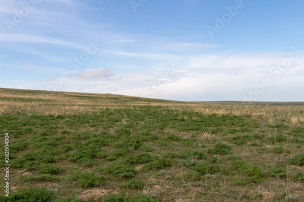 Obraz spring steppe of Kazakhstan