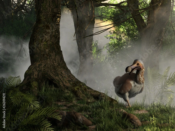 Fototapeta A brown and white dodo bird emerges from the jungle mists.  Dodos are an extinct bird that once inhabited the island of Mauritia.  3D Rendering
