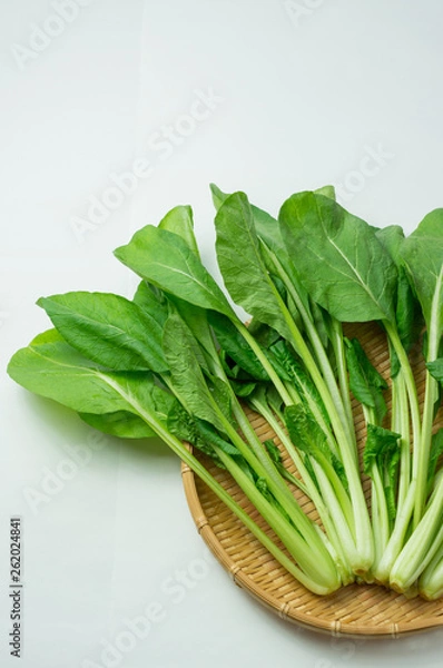 Fototapeta 小松菜