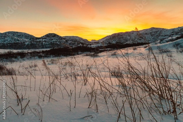 Fototapeta winter beyond the Arctic Circle