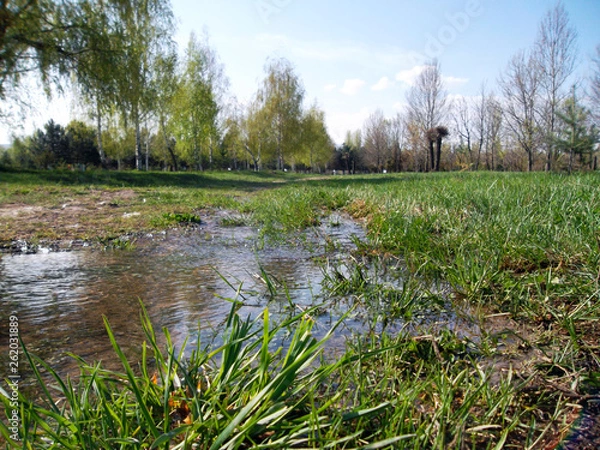 Obraz landscape with lake and forest