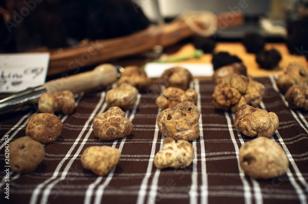 Fototapeta White Truffles (Tuber Magnatum Pico) on a trader stall, Piedmont (Italy)
