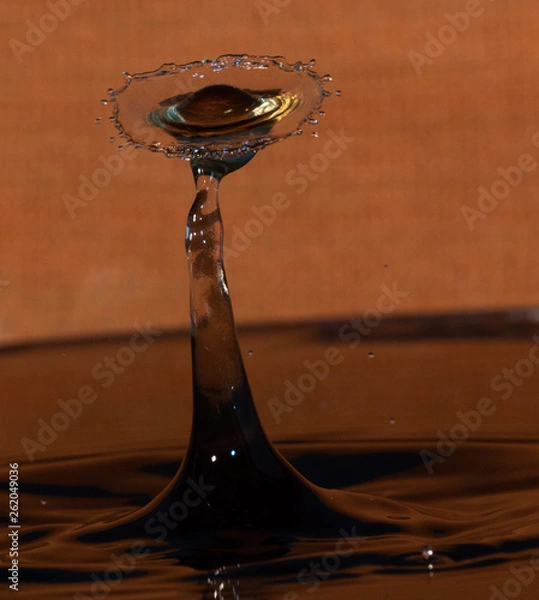 Obraz Saint on Water