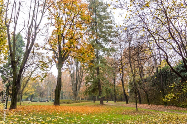 Fototapeta Park in the center of Turin in the autumn