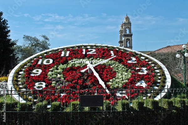 Obraz Zacatlán floral clock 