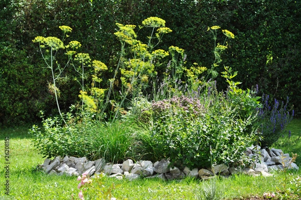 Obraz Kräuterschnecke