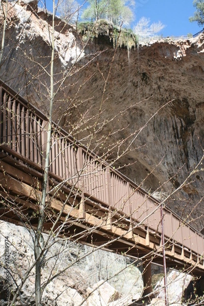 Obraz Bridge to the unknown