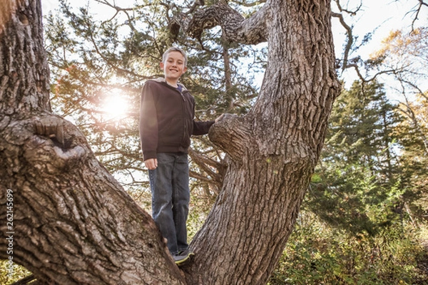 Fototapeta Young boy smiling in a tree
