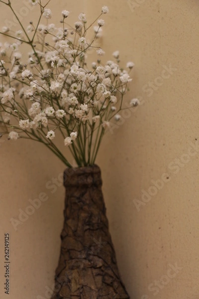 Obraz estas son diferentes tipos de flores y hojas, fotos tomadas en distintos lugares y jardines aqui podemos observar diferentes tipos,colores ,texturas y tamaños .           