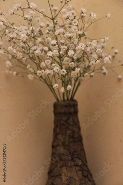 Obraz estas son diferentes tipos de flores y hojas, fotos tomadas en distintos lugares y jardines aqui podemos observar diferentes tipos,colores ,texturas y tamaños .           