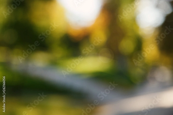 Fototapeta Abstract blurred nature background. Forest trees, Sunny day, sun glare, bokeh. Defocused backdrop for your design