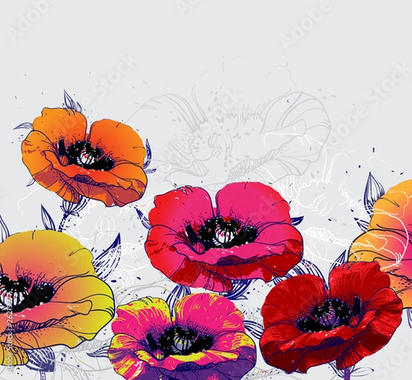 Fototapeta summer field with blossoming poppies