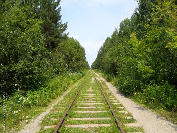 Obraz  railway in the forest