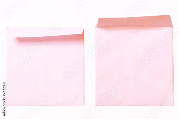 Obraz two pink covers