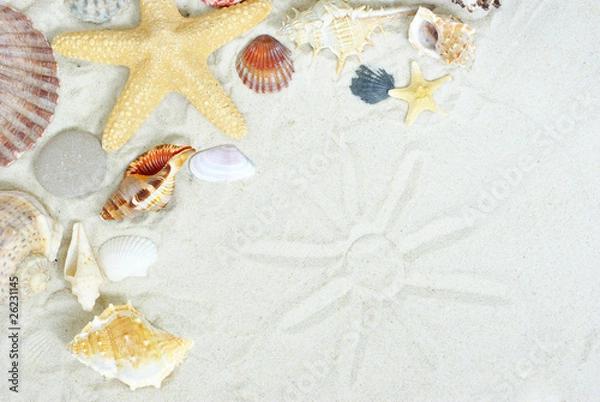 Fototapeta starfish and shells