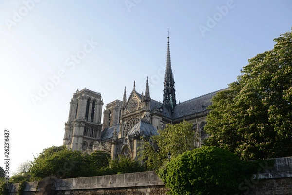 Fototapeta Paris, France - 06-05-2018: Cathedral Notre Dame in Paris. Famous and important Gothic Building in history of art. 