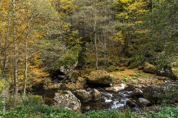 Fototapeta Amazing view of Devin river gorge, Rhodope Mountains, Bulgaria