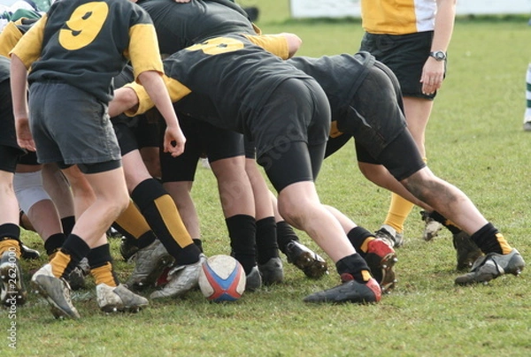 Obraz rugby