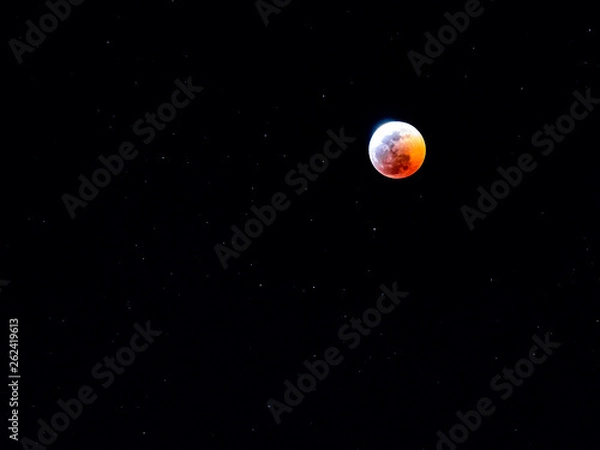 Obraz Blood moon