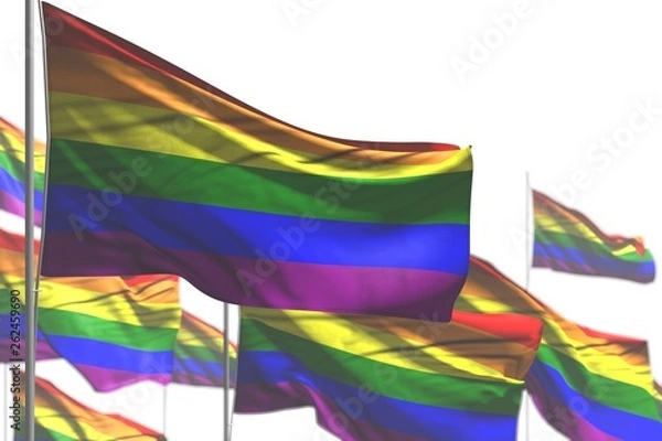 Fototapeta cute any feast flag 3d illustration. - many Gay Pride flags are wave isolated on white - image with selective focus