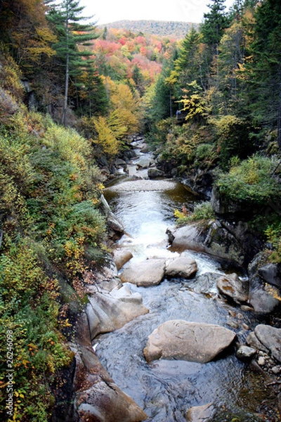 Obraz Autumn forest and water