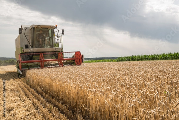 Obraz Getreideernte
