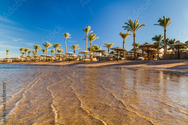 Obraz Beautiful sandy beach with palm trees at sunset. Egypt