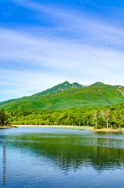 Fototapeta 爽やかな知床五湖