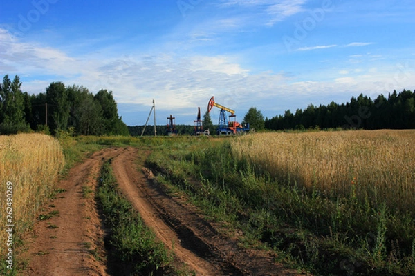 Fototapeta Gas rocking in the field