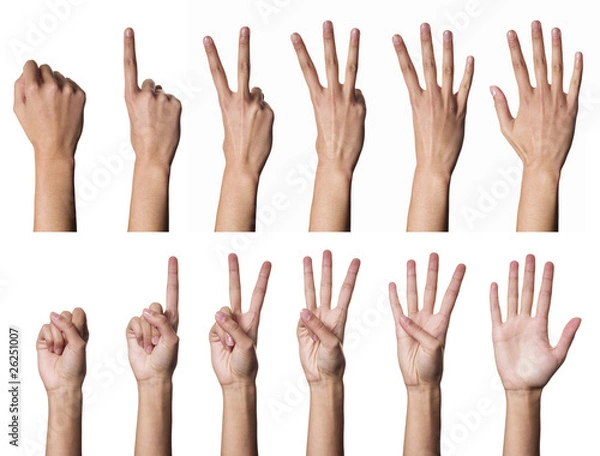 Fototapeta Female hands counting