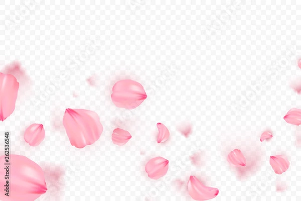 Fototapeta Pink sakura falling petals vector background. 3D romantic illustration. Transporent banner with sakura. Love card