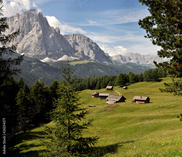 Obraz col raiser panorama