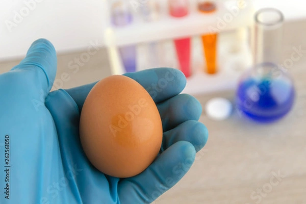 Fototapeta egg in the hand of the laboratory assistant against the background of laboratory equipment with preparations for analysis