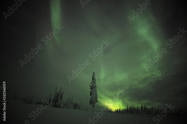 Obraz Alaska Northern Light