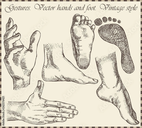 Fototapeta Hand and foots in retro style - Vector illustration