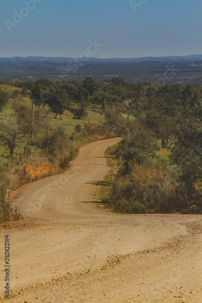 Fototapeta The curves of a dirt road in the middle of the trees and the mountains in the background
