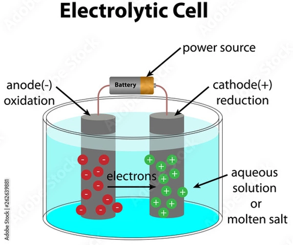 Fototapeta Electrolytic Cell Diagram