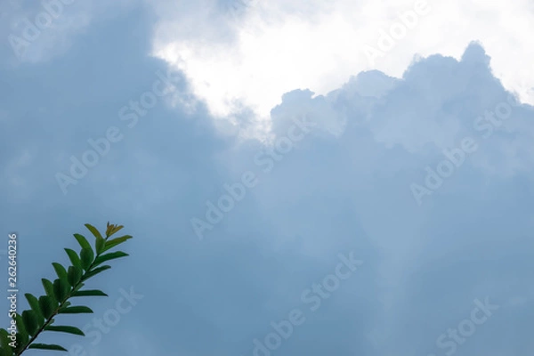 Obraz Blue sky with White and Black Cloud Background