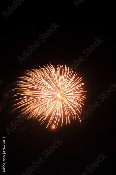 Fototapeta 打ち上げ花火