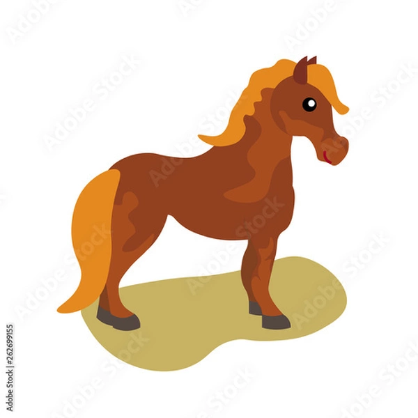 Obraz vector portraits of horses breeds looking in profile