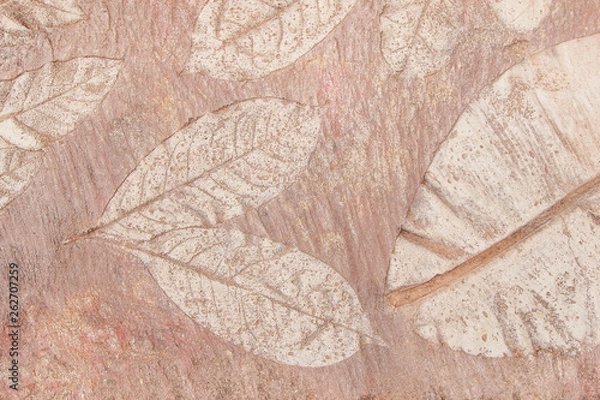 Fototapeta Tree leaf of tropical plant in printed on concrete surface for background
