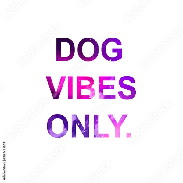 Fototapeta dog vibes only funny dog quote poster