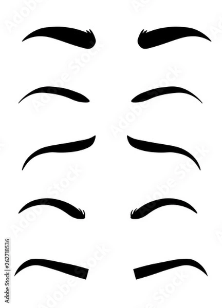 Obraz Eyebrow shapes. Various types of eyebrows. Classic type and other. Trimming. Vector illustration with different thickness of brows. Makeup tips.